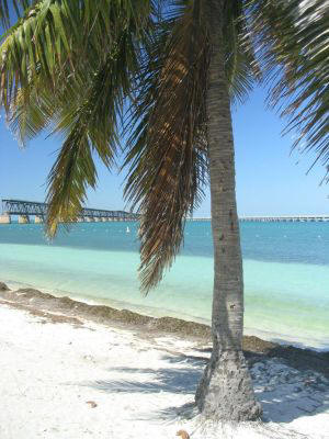 Swim beach at Bahia Honda